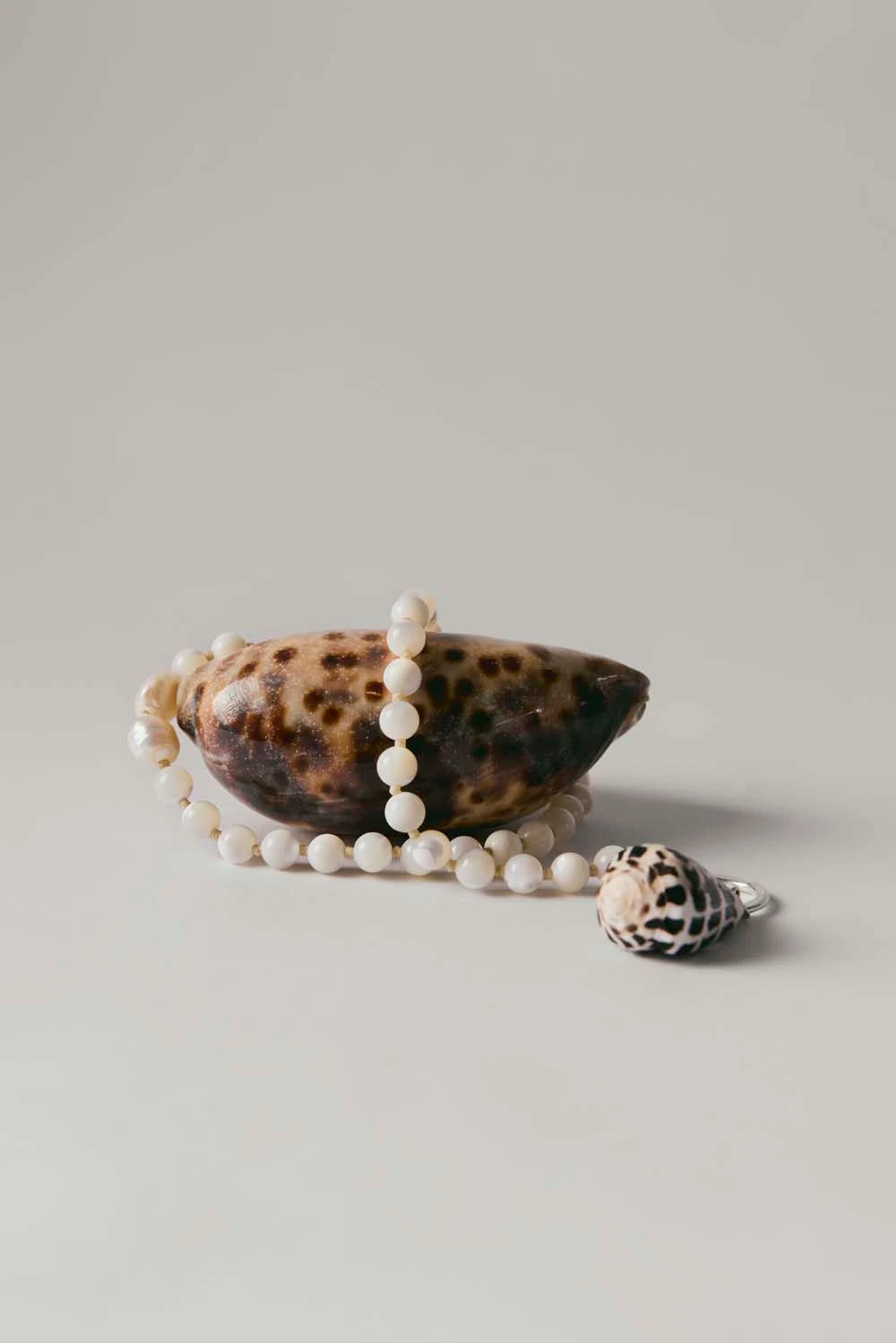 Nassa Necklace