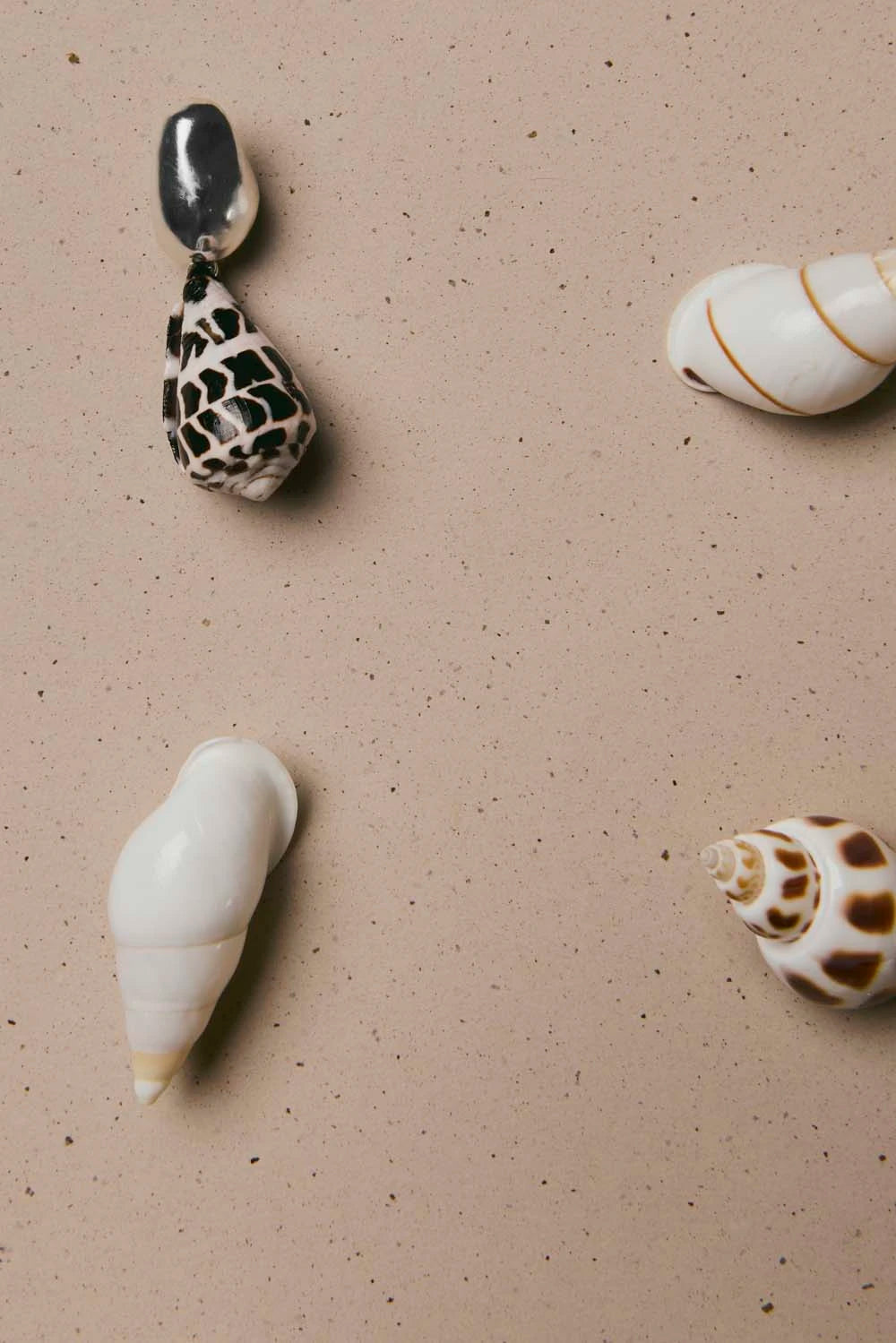 Nassa Earrings