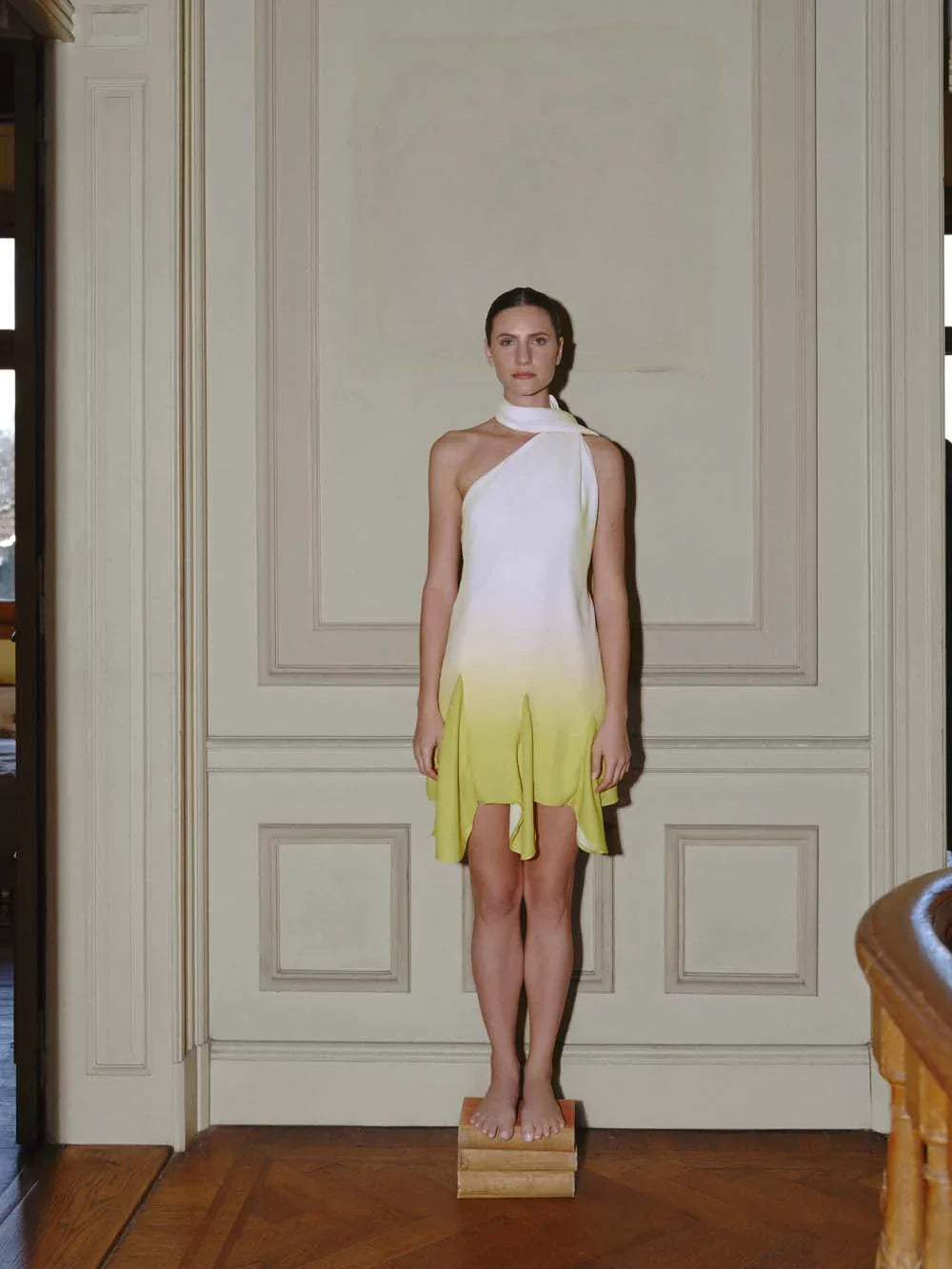 baobab Ari Mini Dress