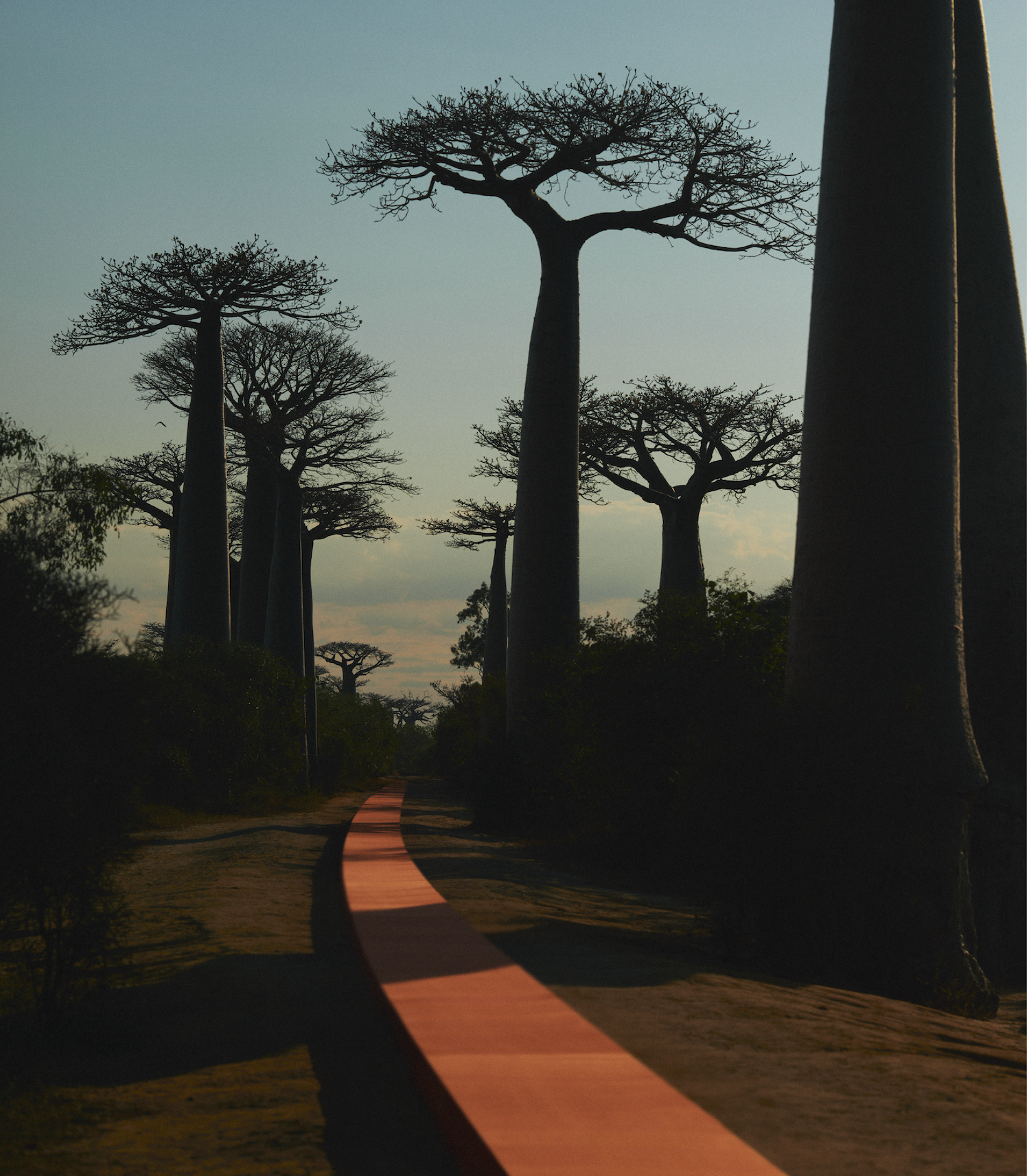 Captura_de_pantalla_2024-09-27_a_la_s_8.22.03_a._m..png