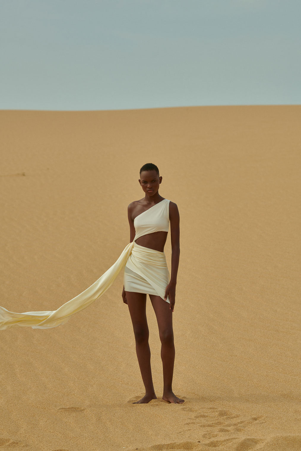 Zadeh Mini Dress