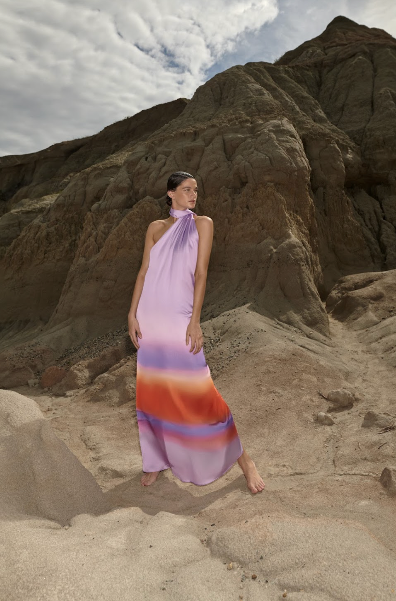 Ari Maxi Dress