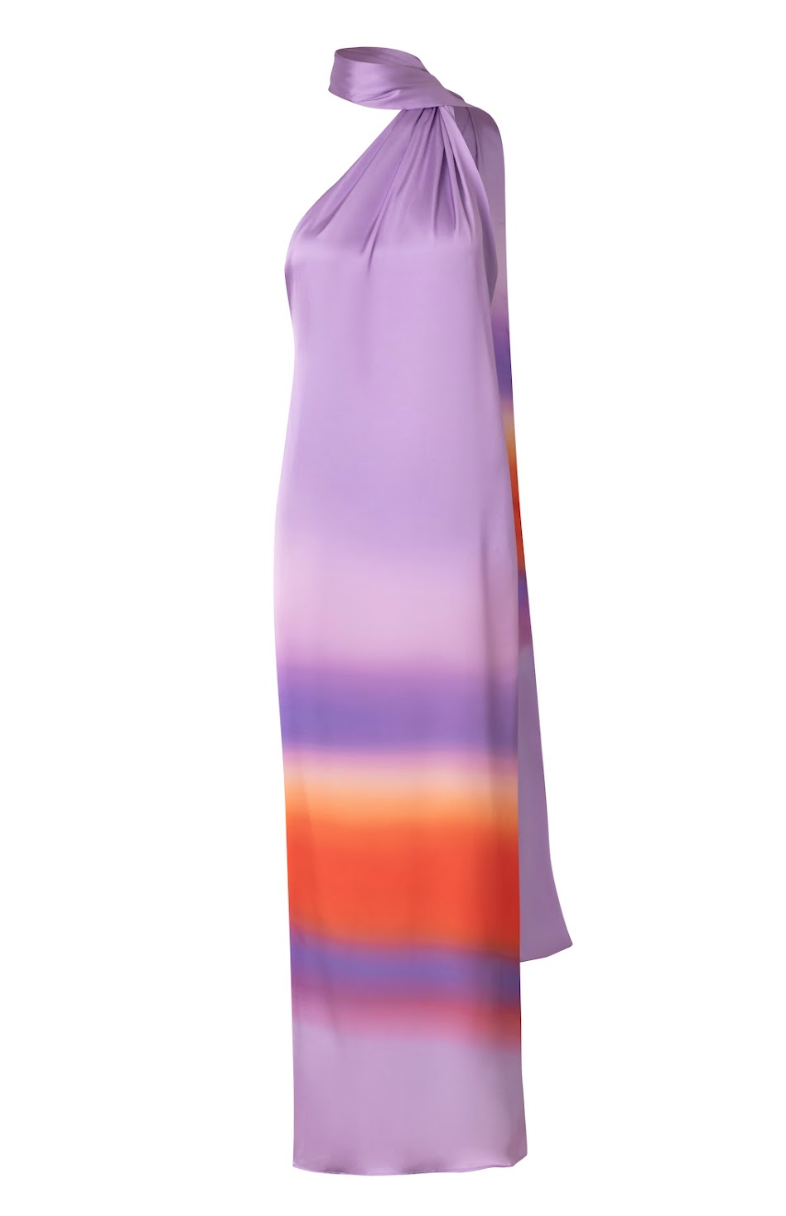 Ari Maxi Dress