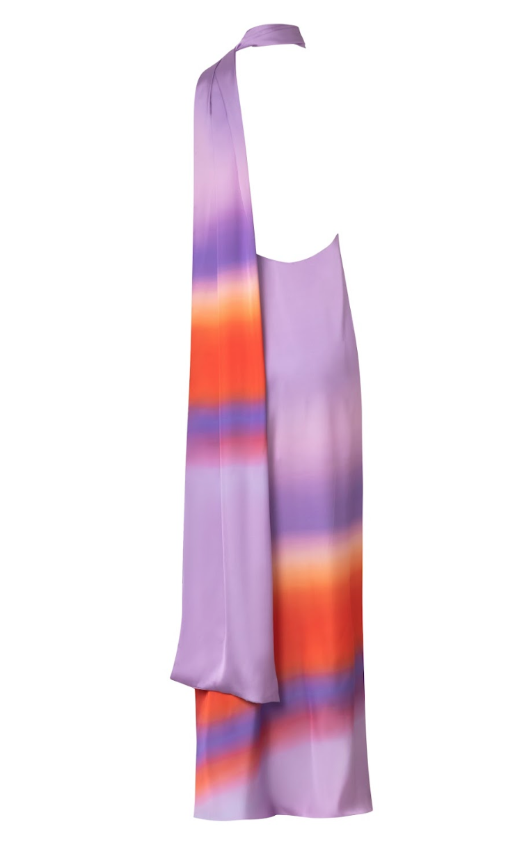 Ari Maxi Dress